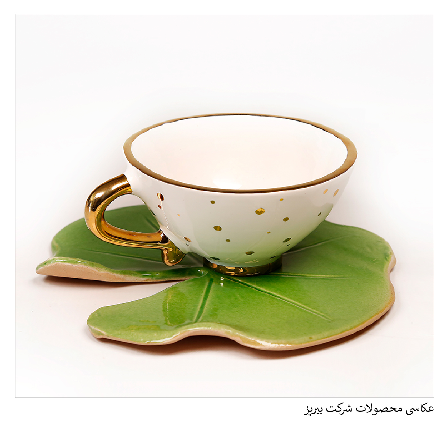 عکاسی محصولات شرکت بیریز جهت استفاده در کاتالوگ